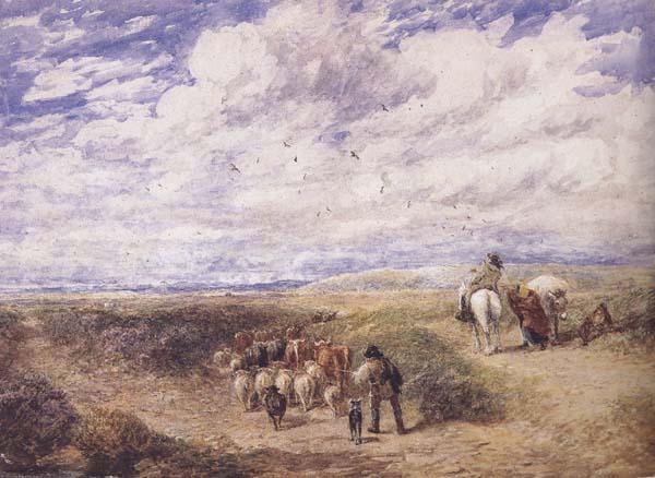 David Cox Keep the Left Road (mk47) oil painting picture